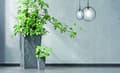 Miniatyrbilde 2 av 3: Hagekrukke med innsats Urbi Square Low Beton Effect 29,5 x 29,5 x 29 cm antrasitt PROSPERPLAST