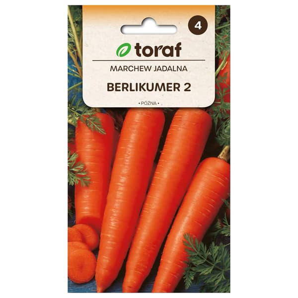 Gulrotfrø Berlikumer 2 - Sen sort med søt og smakfull avling