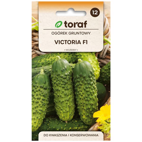 Frö till gurka Victoria F1 – Tidig och produktiv för inläggning och konservering