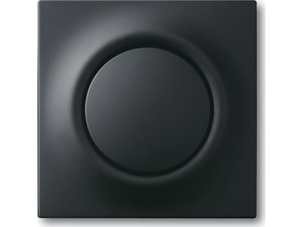 Busch-Jaeger 4011395127728, Musta, Muovi, Tavanomainen, Busch-Jaeger, Matta, 1 kpl