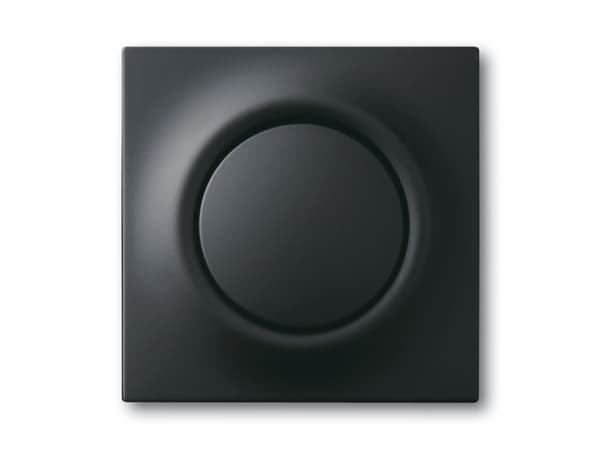 Busch-Jaeger 4011395127728, Musta, Muovi, Tavanomainen, Busch-Jaeger, Matta, 1 kpl