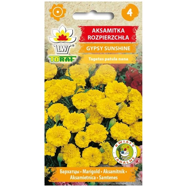Fransk ringblomstfrø Gypsy Sunshine - Rikelig blomstring med sitronfargede blomster