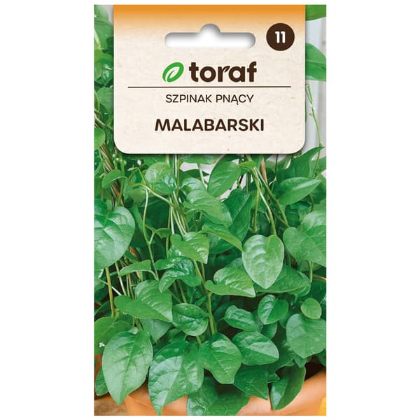 Malabarin pinaatin siemenet - Ravitseva ja koristeellinen köynnöskasvi