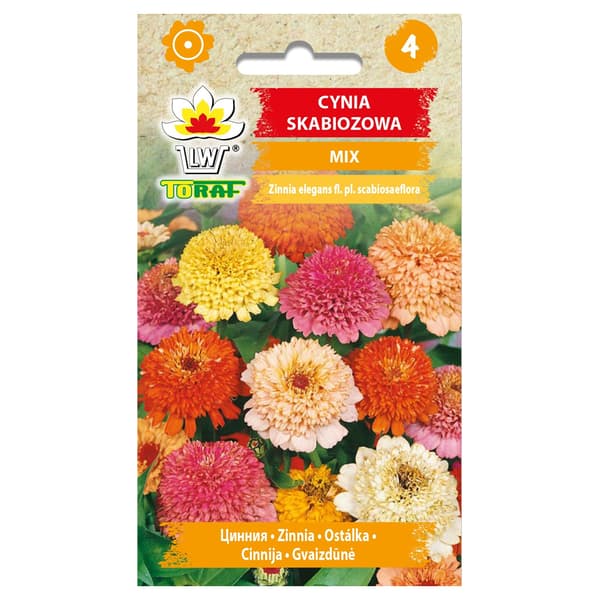 Siemenet dahlia-zinnia-sekoitukselle - Värikkäät, suuret kukat kukkapenkkiin ja kukkakimppuihin