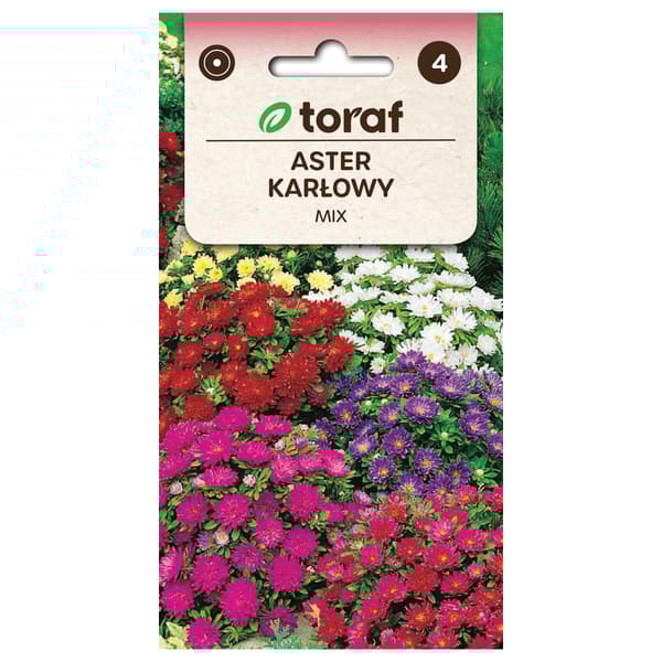 Frø til Dwarf Chinese Aster Mix - Lavtvoksende og rigtblomstrende aster