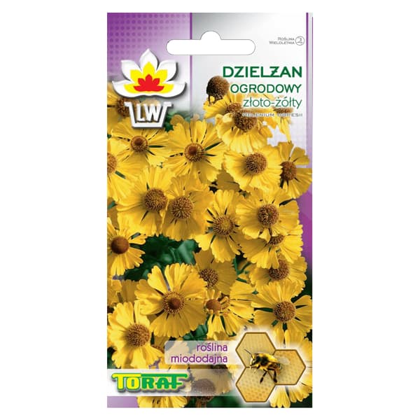 Frö till solbrudar Sneezeweed – Långblommande och bivänlig perenn