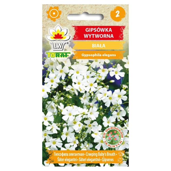 Frö till vit sommarslöja – Lätt och luftig blomning för rabatter och buketter