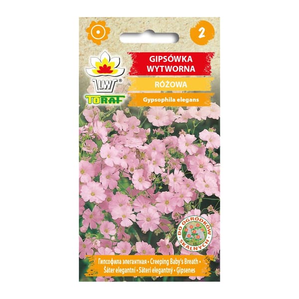 Frö till rosa sommarslöja – Lätt och luftig blomning för rabatter och buketter