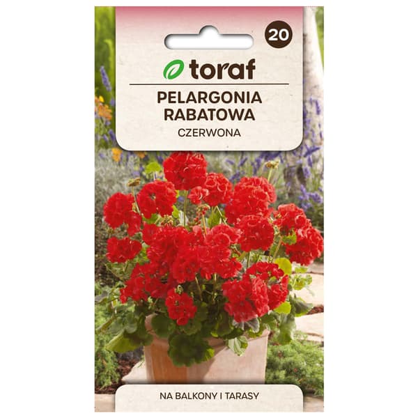 Zonal geranium punainen siemen - Värikkäät kukat parvekkeille ja kukkapenkkeihin