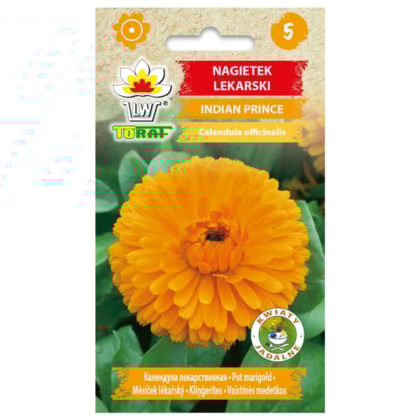 Morgenfruefrø Indian Prince - Dybt orange blomster med rød midte