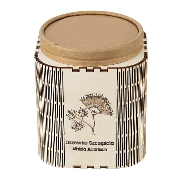 Silkkipuun siemenistö ja kasvatusastia - Kaunis "onnenpuu"