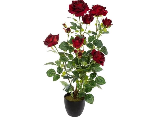 Atmosphera Konstgjord växt i kruka ROOT OF ROSE, 74 cm, röd