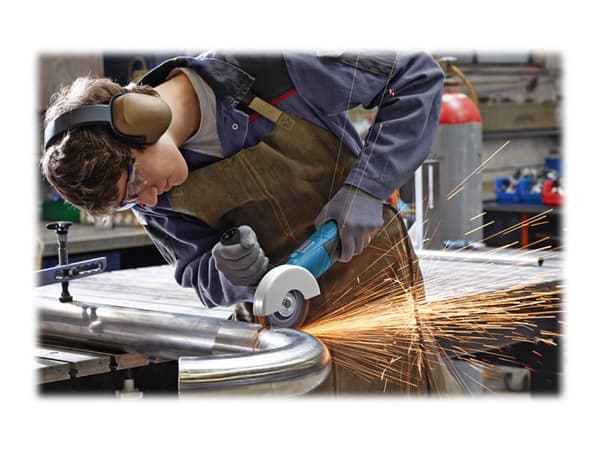 Bosch GWS 17-125 INOX Professional - Vinkelsliper - 1700 W - 125 mm