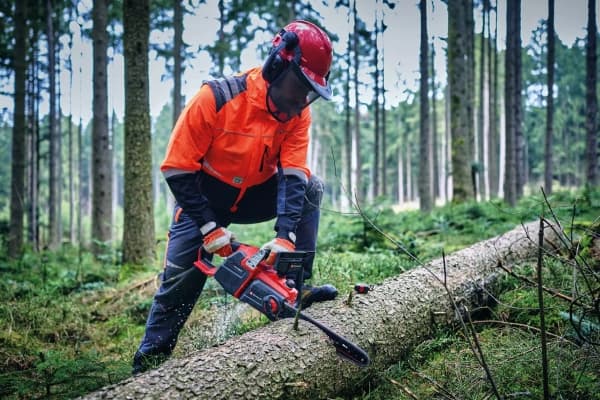 Einhell GP-LC 36/40 Li BL, 10500 RPM, Brushless, 38 cm, 19.3 m/s, 76.2 / 8 mm (3 / 8"), Black, Red - SOLO