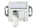 Pikkukuva 1 / 2: Telegärtner 100022957, 2 x RJ-45, 6a, Valkoinen, Sinkki, 1 kpl