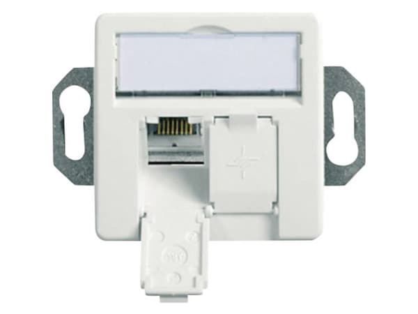 Telegärtner 100022957, 2 x RJ-45, 6a, Valkoinen, Sinkki, 1 kpl Valkoinen