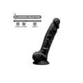 Miniatyrbillede 3 af 4: Dildo Silexd Sort