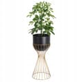 Miniatyrbild 1 av 5: Stående blomsterstativ metall svart och guld trådloftstativ 46cm