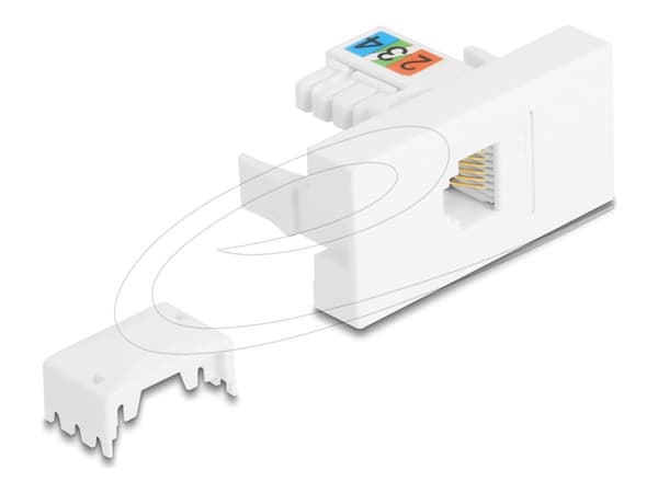 Delock Easy 45 -moduuli RJ12-pistorasiaan LSA UTP:hen valkoinen Valkoinen