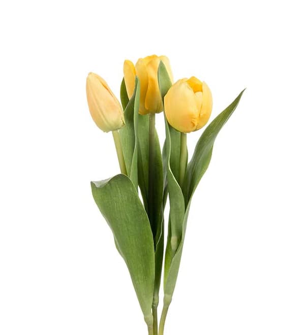 Tulpan gul mix Mr Plant 36cm