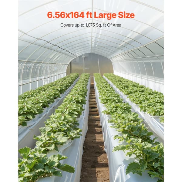 8Mil Plastfolierulle, 6,5 x 164 FT, Tungtansvarig Polyeten, Grå Färg