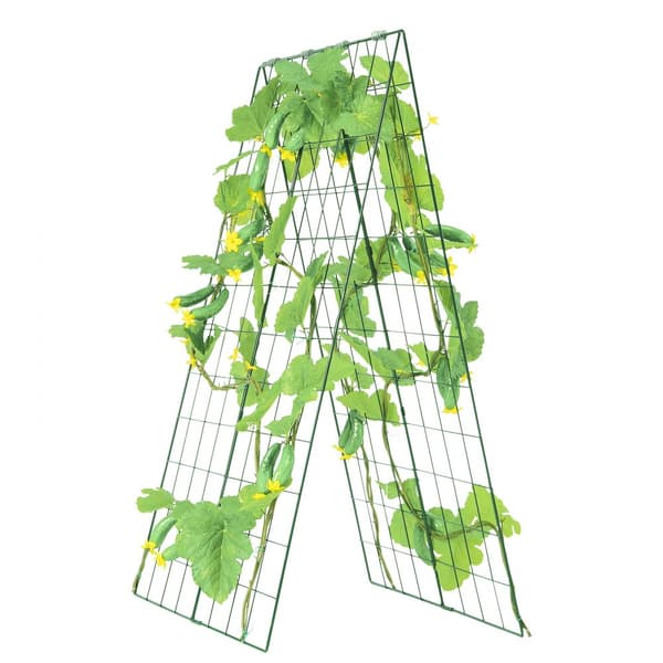 A-Frame agurk espalier, 46x32 sammenfoldeligt metal, haveespelier til grøntsager