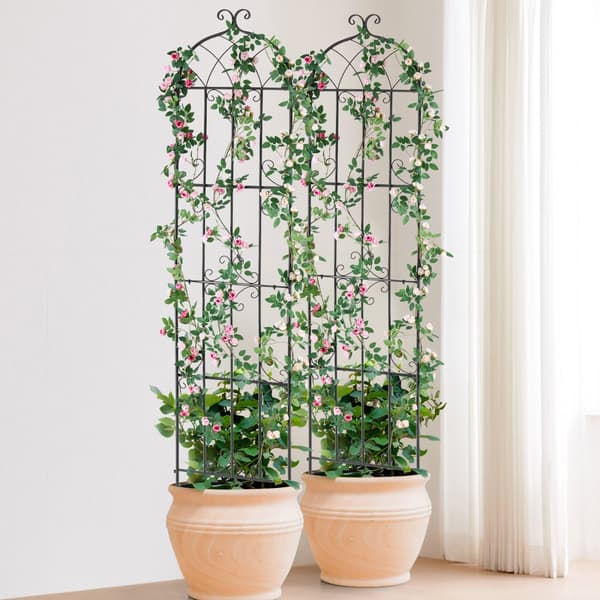 Metal Haveespalier 2-pak, Klatreplantestøtte, 87x20, Rustfast Stål