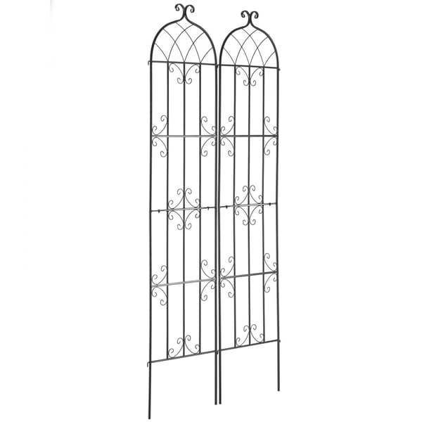 Metal Haveespalier 2-pak, Klatreplantestøtte, 87x20, Rustfast Stål