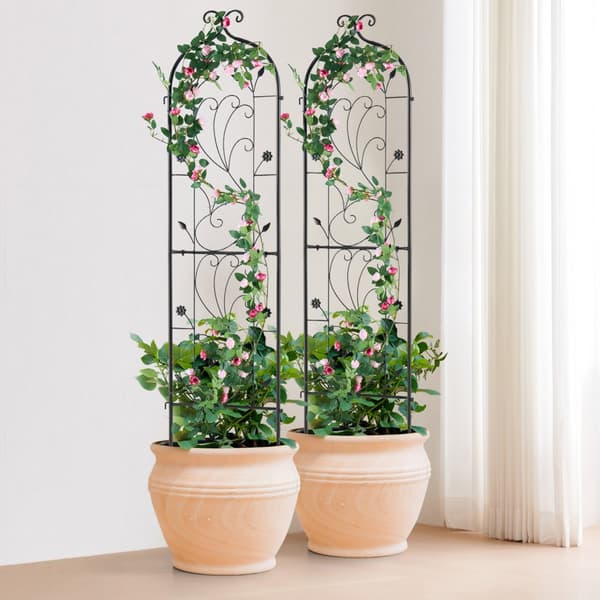 Metal Haveespalier 2-pak, Klatreplantestøtte 60x15, Rustsikker