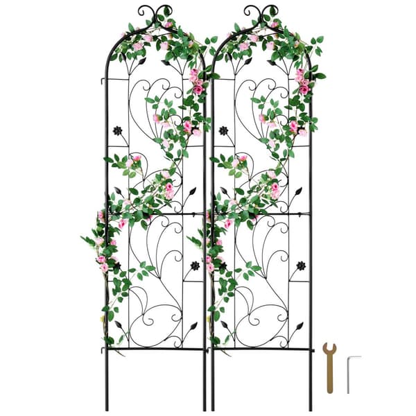 Metal Haveespalier 2-pak, Klatreplantestøtte 60x15, Rustsikker