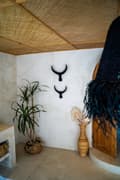 Pikkukuva 5 / 8: BULL HORNS SEINÄKORISTUS L