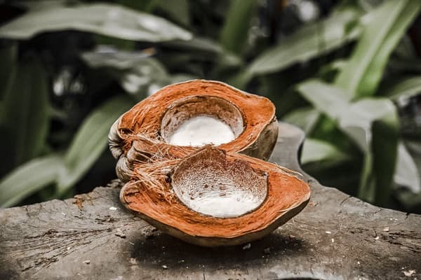 KAVA KOKOSDUFTLYS