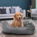 Pikkukuva 3 / 6: Koiran sänky, Pellava-Look Pet Bed, koiran sohvasänky korotetuilla reunoilla, liukumaton pohja, irrotettava pestävä kansi, M, pienille koirille, 70 x
