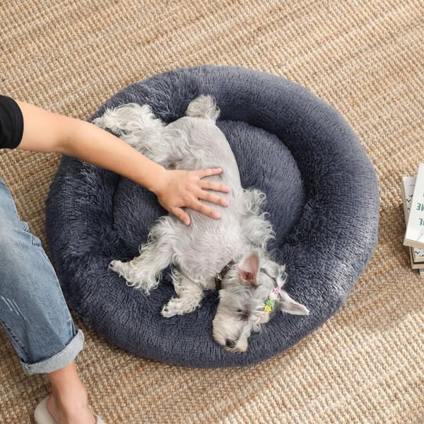 Koiran sänky, Donut kissan sänky, pörröinen rauhoittava lemmikkieläinten sänky, jossa on irrotettava, pestävä päällinen, pehmeä pitkä pehmo, 70 cm, t
