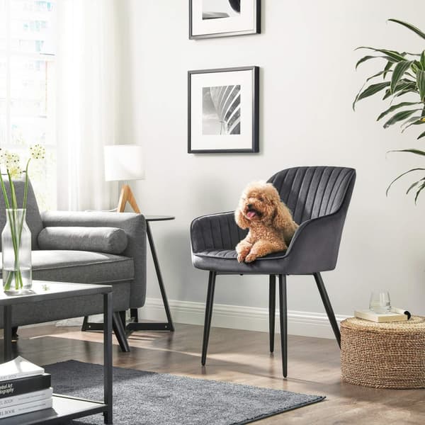 Matstol, Fåtölj, Stoppad stol med armstöd, Metallben, Sammetsklädsel, Sittbredd 49 cm, Max. 110 kg - för arbetsrum, vardagsrum, sovrum
