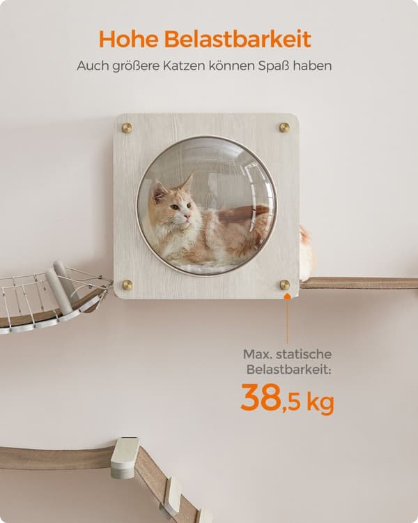 Clickat Collection - No. 010 Kissaluola seinäasennukseen