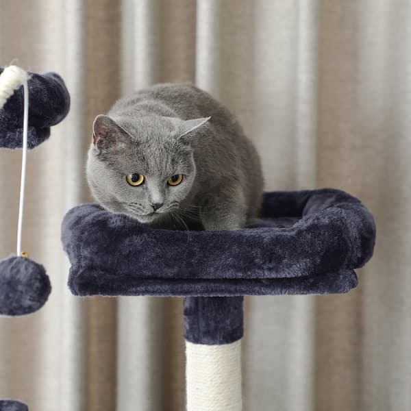 Kissapuu, XXL-kissa-asunto, 164 cm, savunharmaa PCT087G01