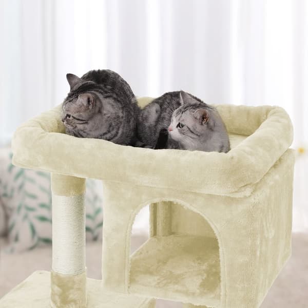 Raapimispylväs, jossa on 2 luolaa 84 cm Beige