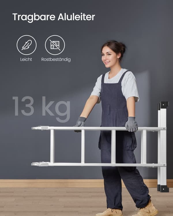 Stege med 16 steg i 6 lägen 430 cm lång silver