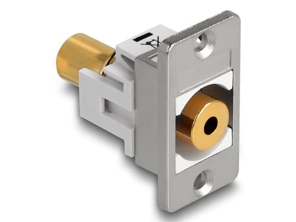Delock Panel Mount Jack socket 3,5 mm 4 pins til Jack socket 3,5 mm 4 pins gullbelagt sølv/hvitt Sølv, Hvit