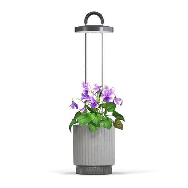 Click  Grow - HydroVase - Grey