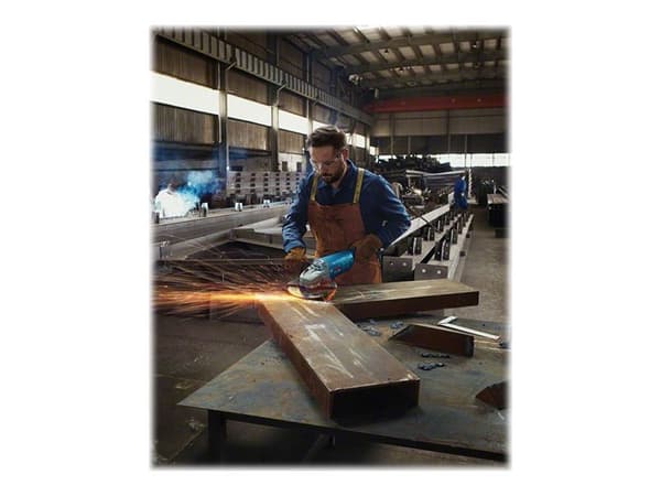 Bosch GWS Professional 22-230 P - Vinkelsliper - 2200 W - 230 mm