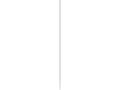 Miniatyrbilde 2 av 2: Bosch Accessories 2608707250 Hammerbor 12 mm SDS-Plus 1 stk