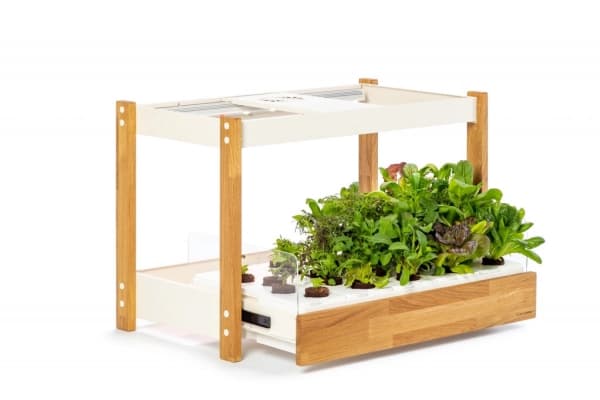 Click and Grow 25 - Black (Salad Greens 54x pack)