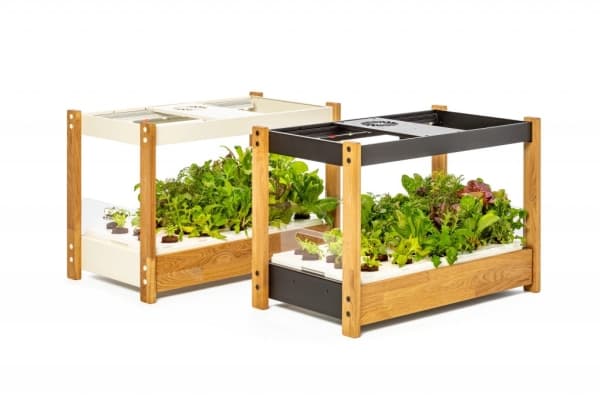Click and Grow 25 - Black (Salad Greens 54x pack)