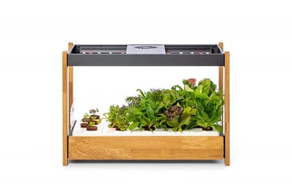 Click and Grow 25 - Black (Salad Greens 54x pack)