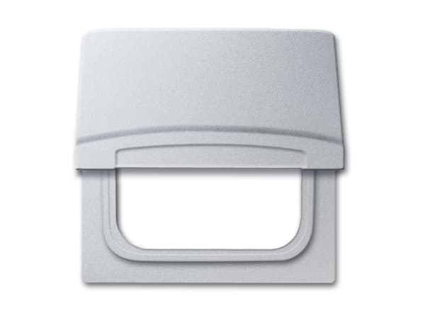 Busch-Jaeger 1710-0-3785, Gjuten aluminium, Skruvlös, Varje varumärke, 70 mm, 70 mm, 55 x 55 mm