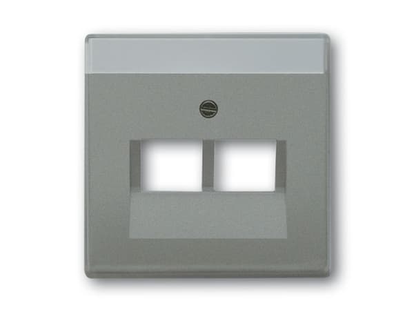 Busch Jaeger 1710-0-3853 Wandplatte/Schalterabdeckung Grau - Metallisch (1710-0-3853)