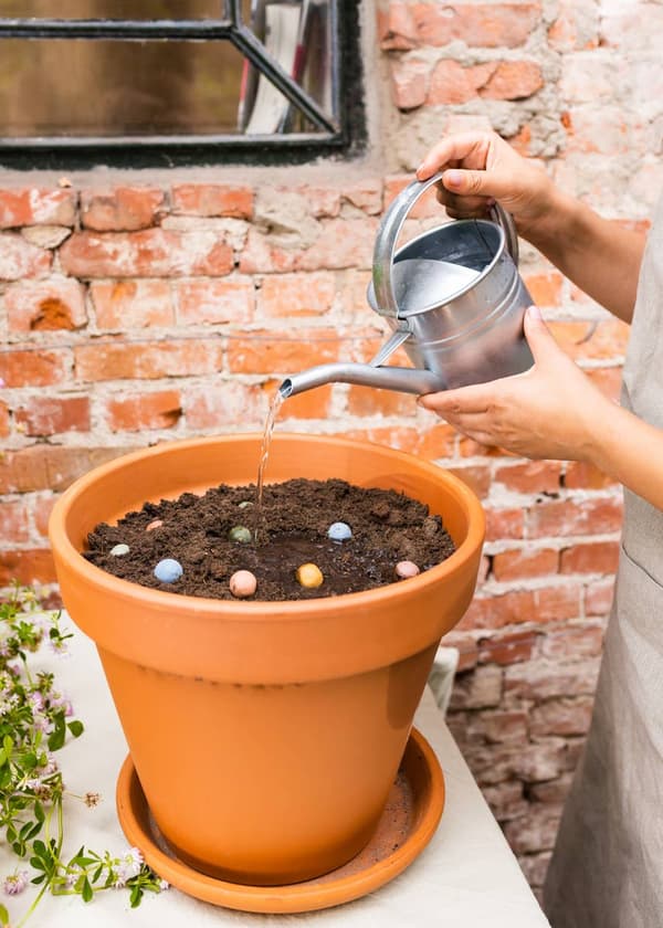 Miljövänlig presentlåda med 4 Blossombs - Blommor för dig