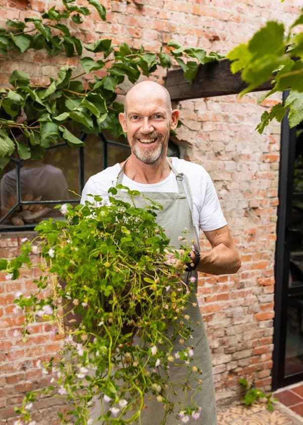Miljövänlig presentlåda med 4 Blossombs - Blommor för dig
